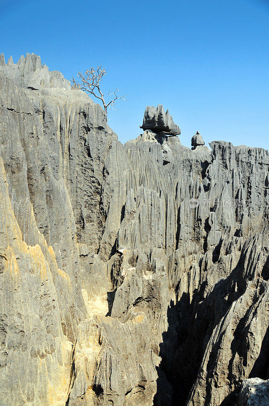 马达加斯加的Tsingy de Bemaraha